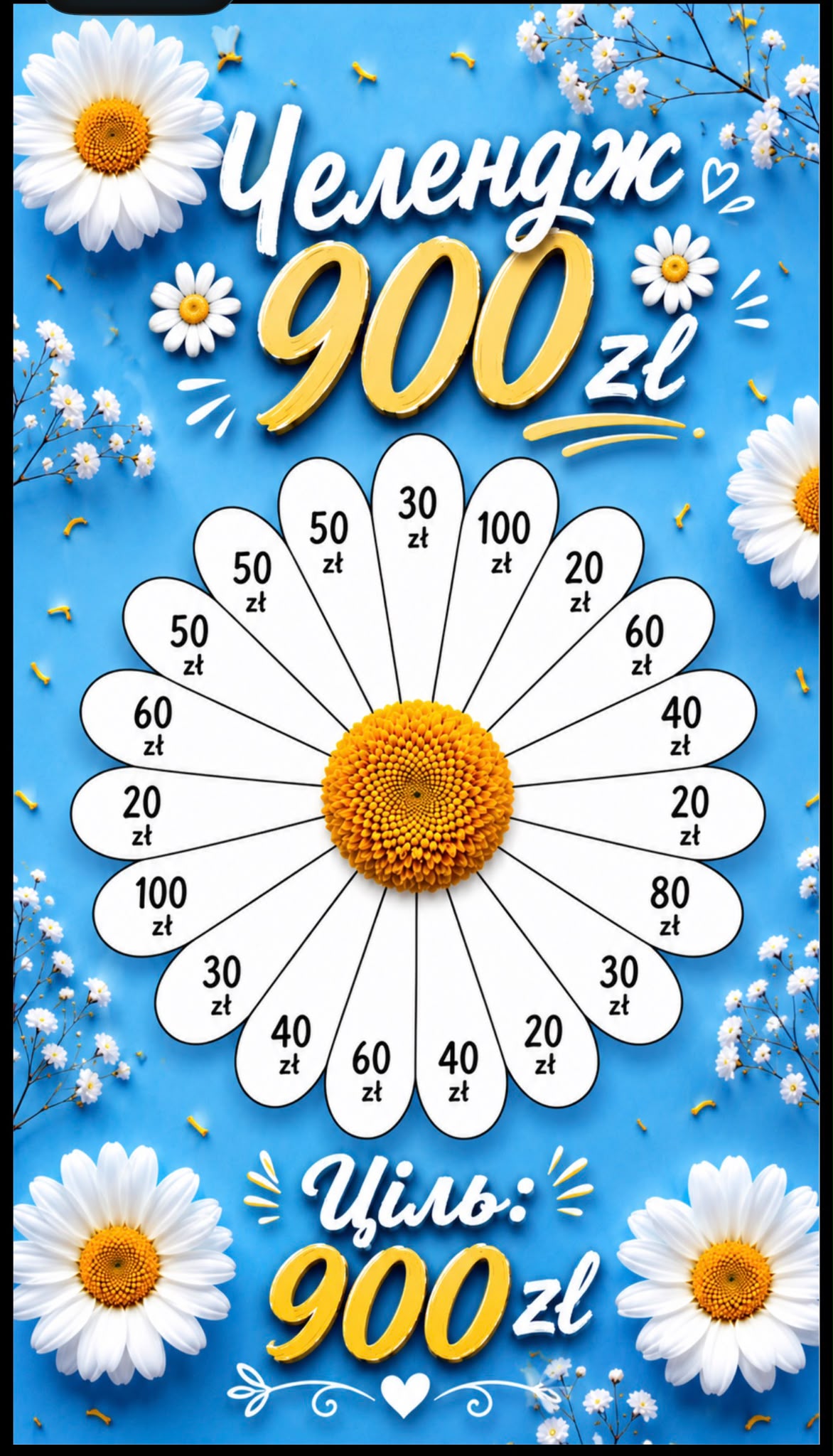 900 zł (Stokrotka)