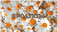 Karty kategorii „Stokrotka” – zestaw 6 szt. 🌼